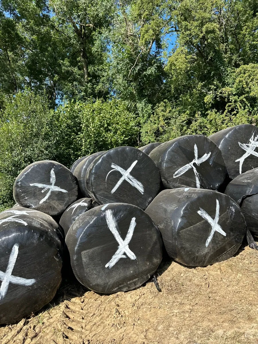 Silage Bales