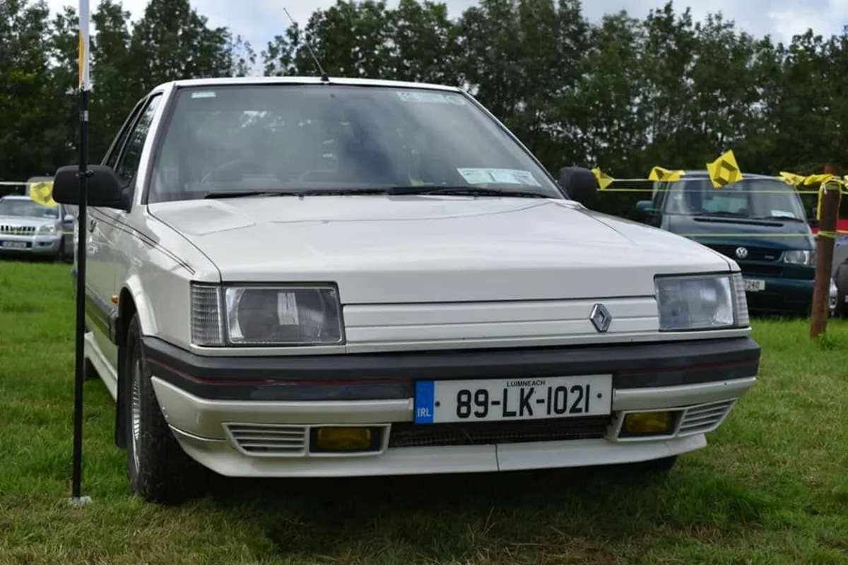 French Classic Car Gathering 4th of August @Nenagh - Image 4
