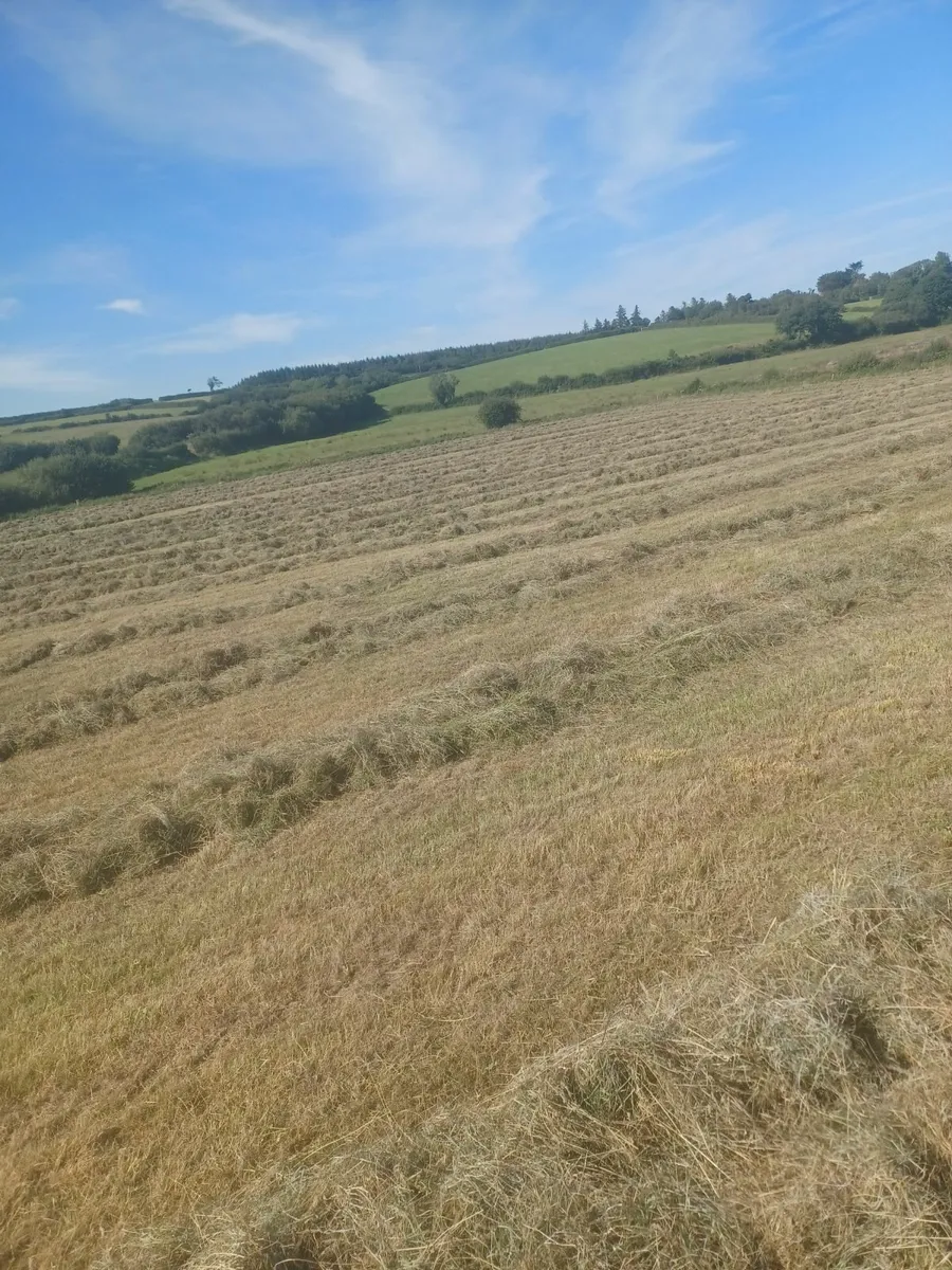 Silage bales - Image 2