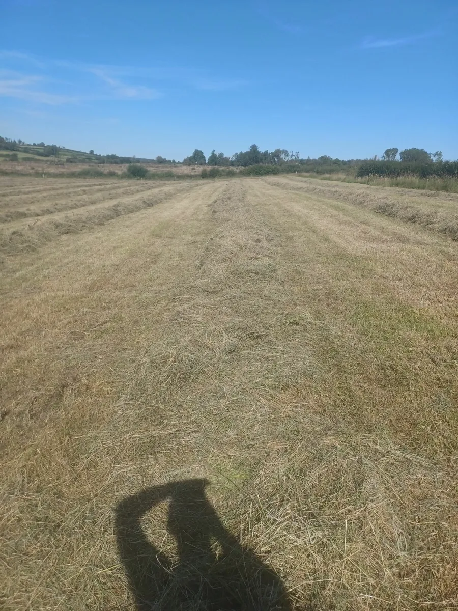 Silage bales - Image 3