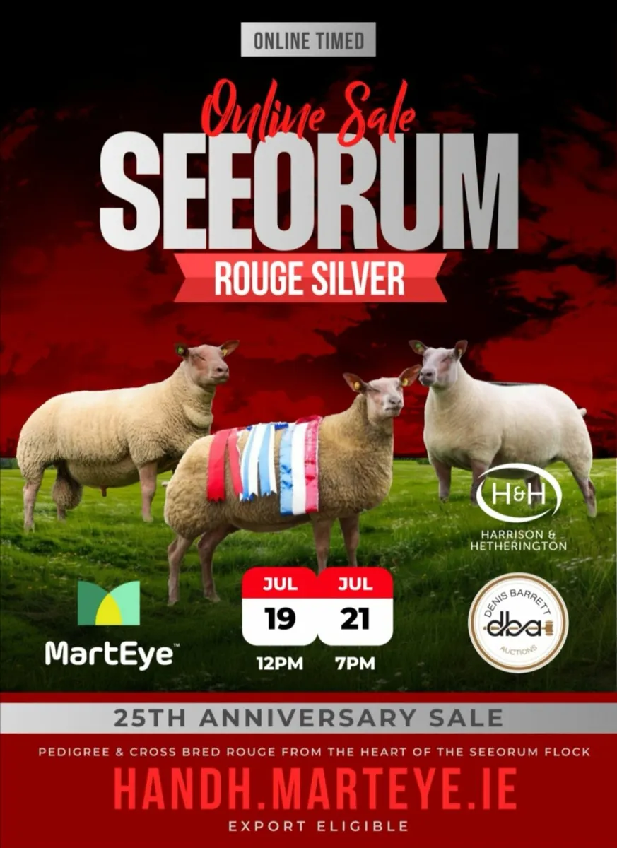 🔥SEEORUM ROUGE SILVER ONLINE SALE🔥 - Image 1