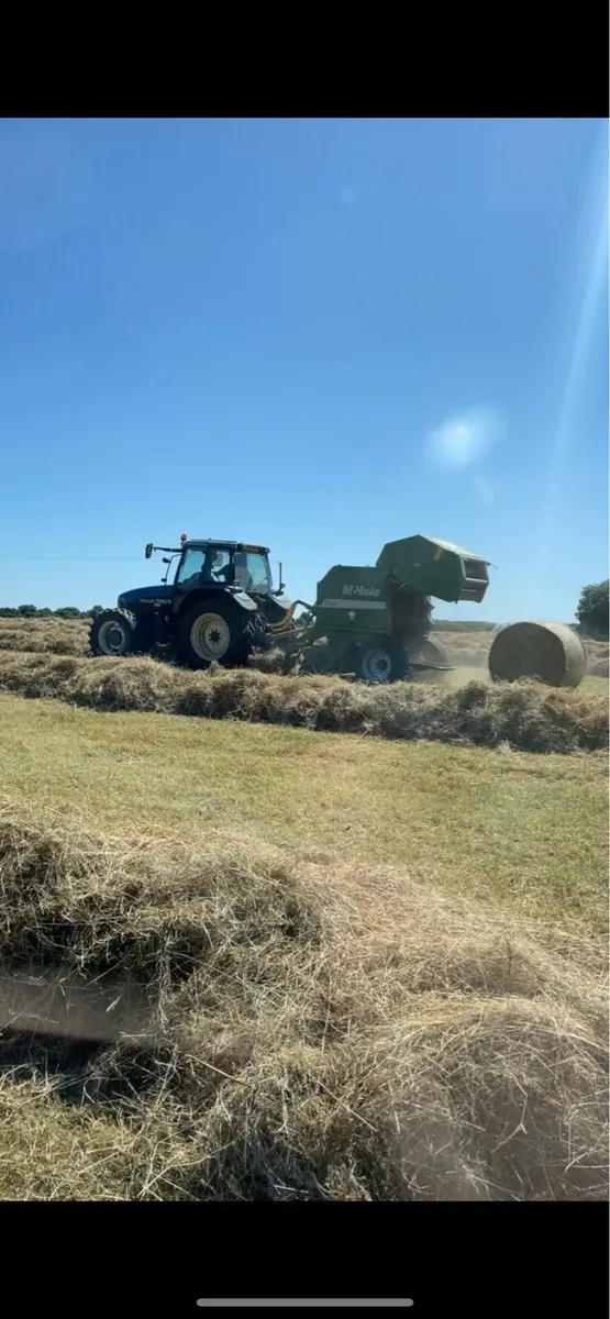 Hay - Image 2