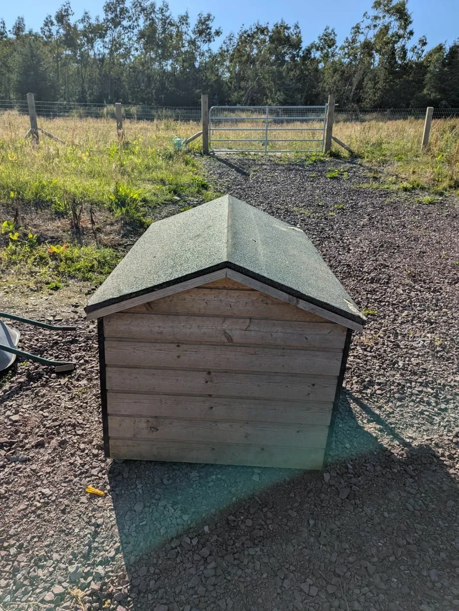 Dog House - Image 4