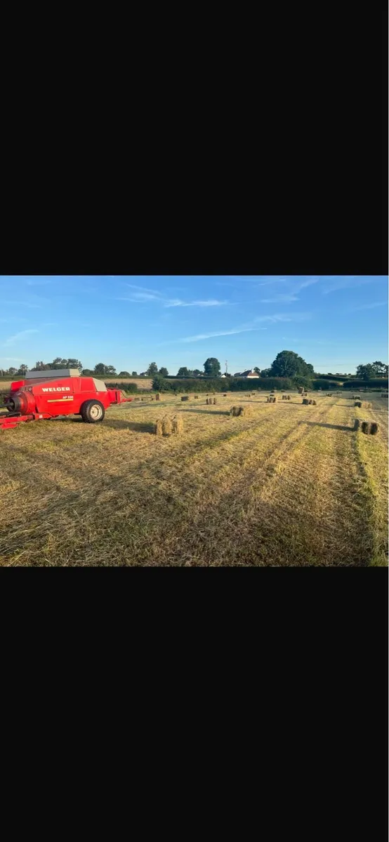 Small squares Hay off field - Image 1