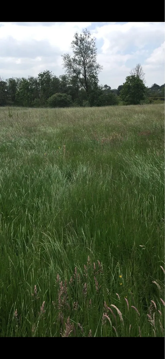 Small squares Hay off field - Image 2