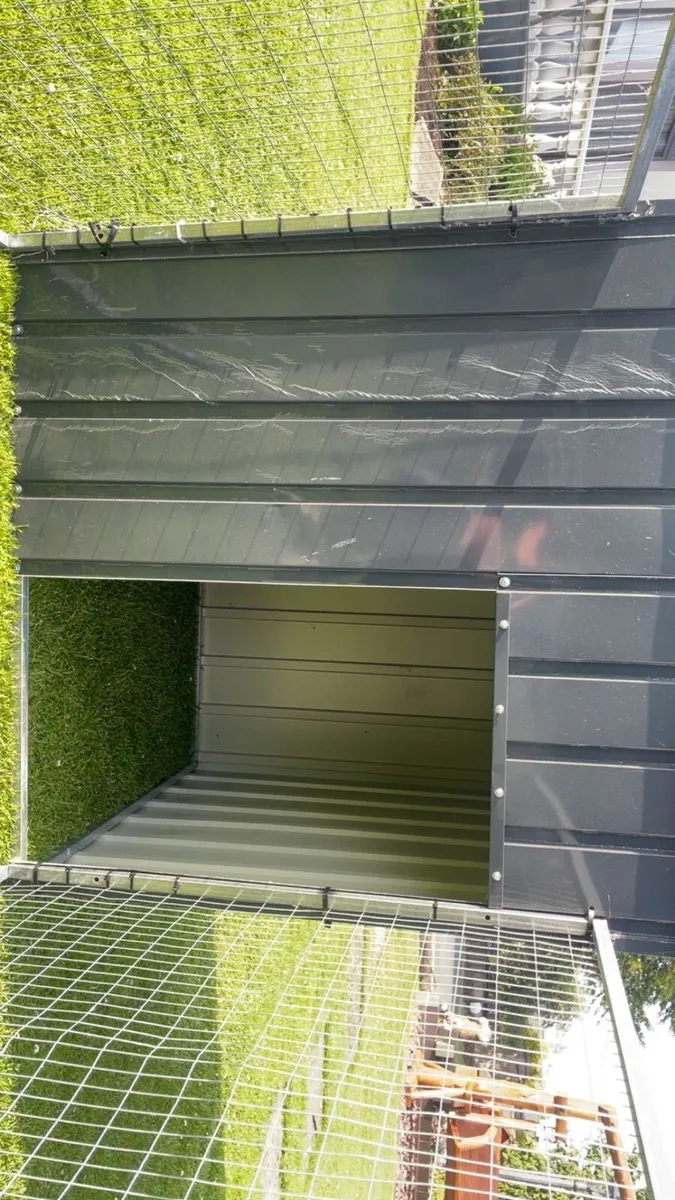 Dog run - Image 1