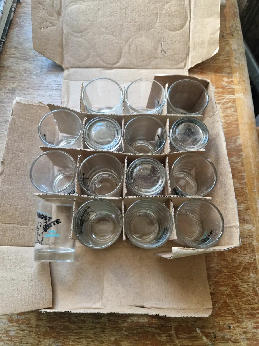 Guinness Frostbite Shot Glasses - Image 1