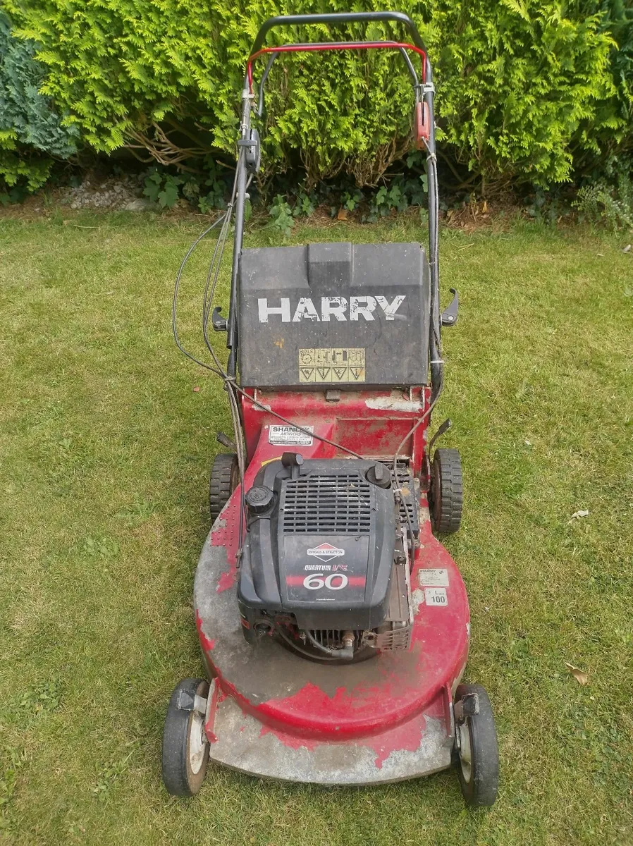 Harry Lawnmower - Image 1