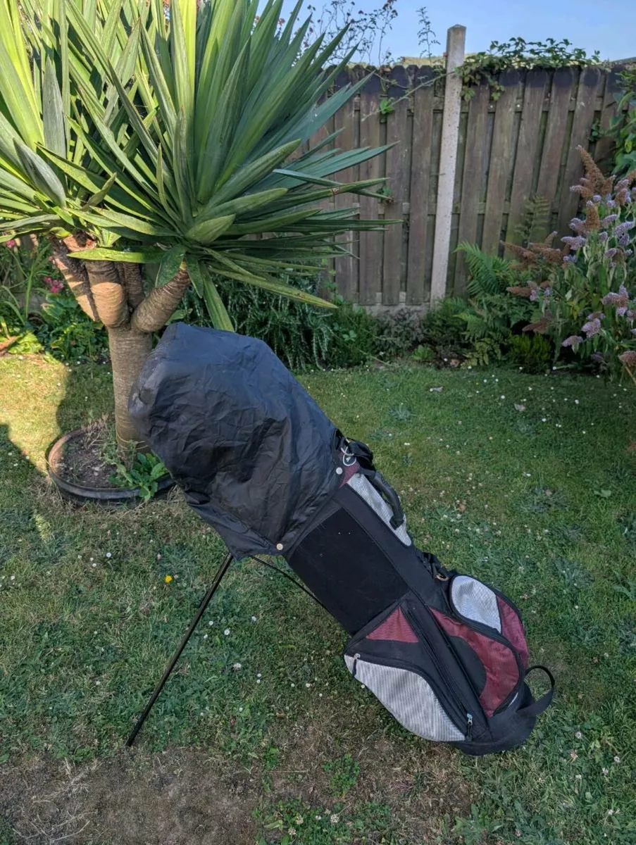 Golf clubs for quick sale need gone tonight - Image 1