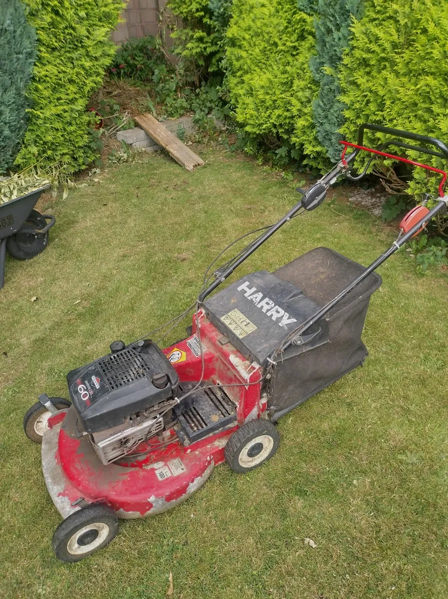 Harry Lawnmower - Image 2