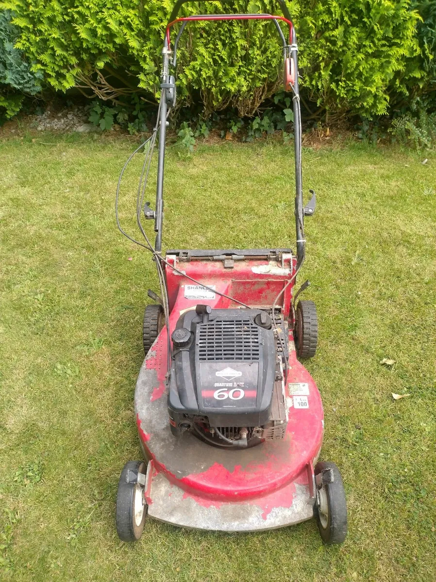 Harry Lawnmower - Image 3