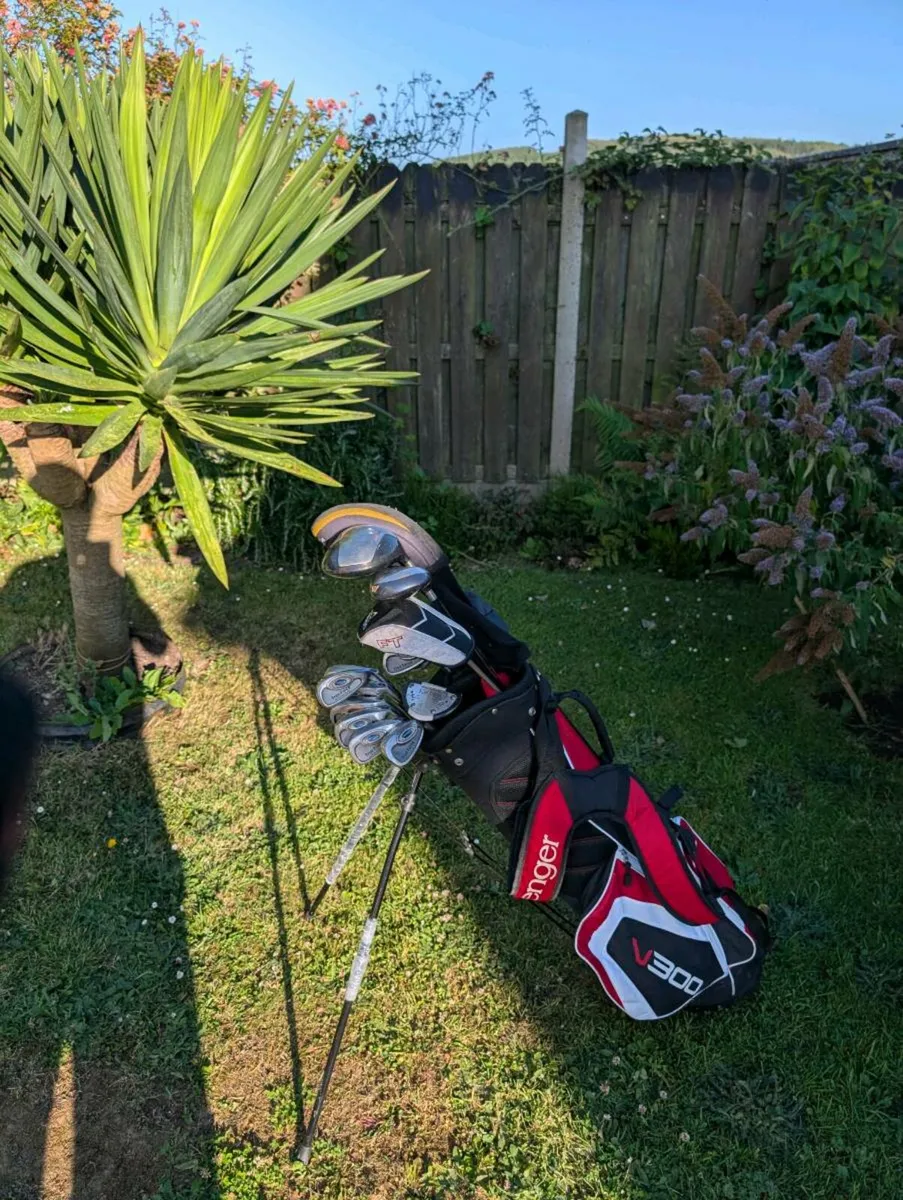 Set of adult Golf clubs need gone asap - Image 1