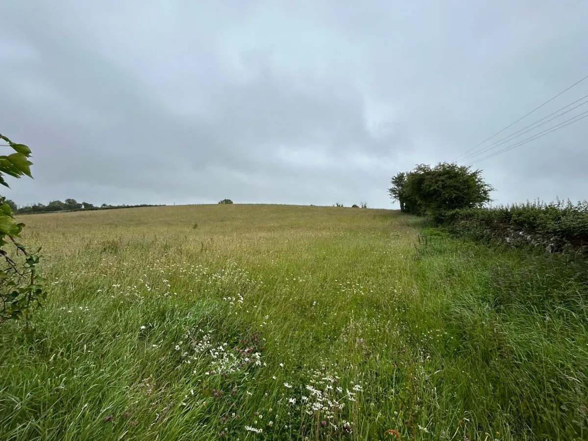 4 acre meadow hay to be saved - Image 1