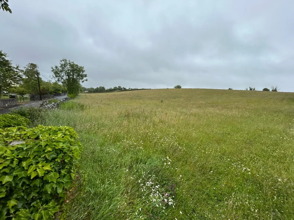 4 acre meadow hay to be saved - Image 2