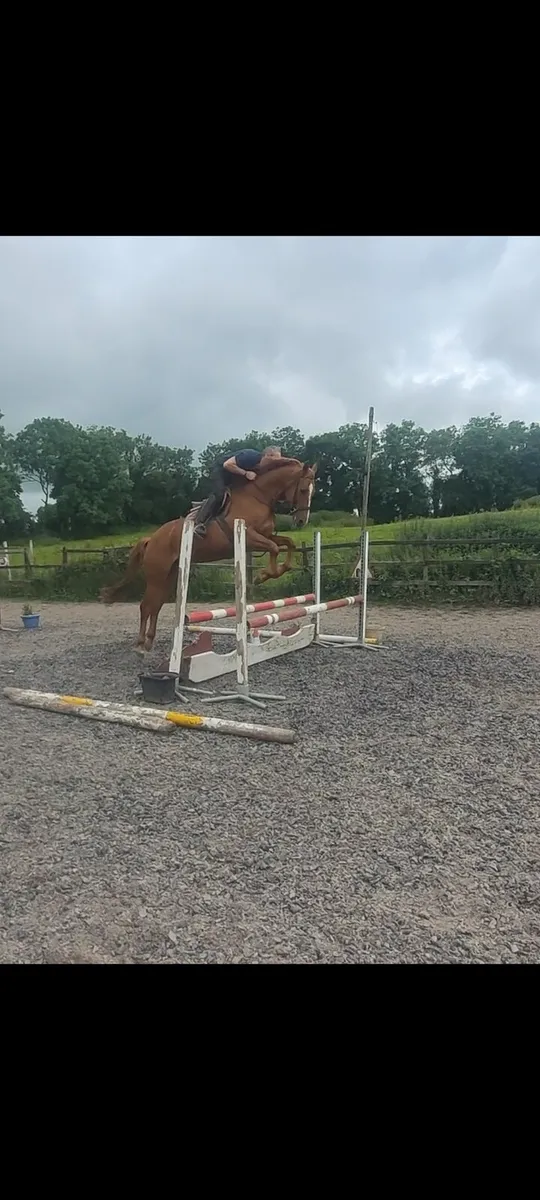 16hh - Image 3