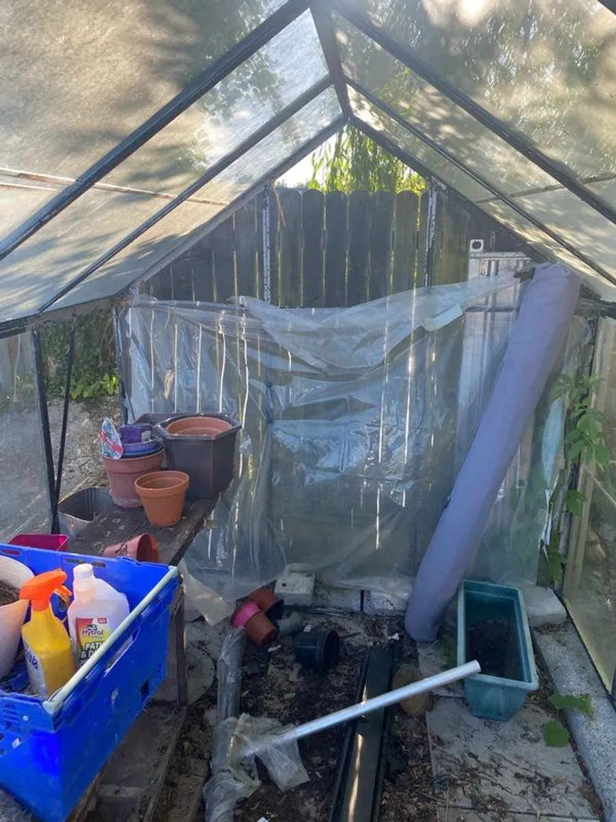 Glasshouse - Image 3