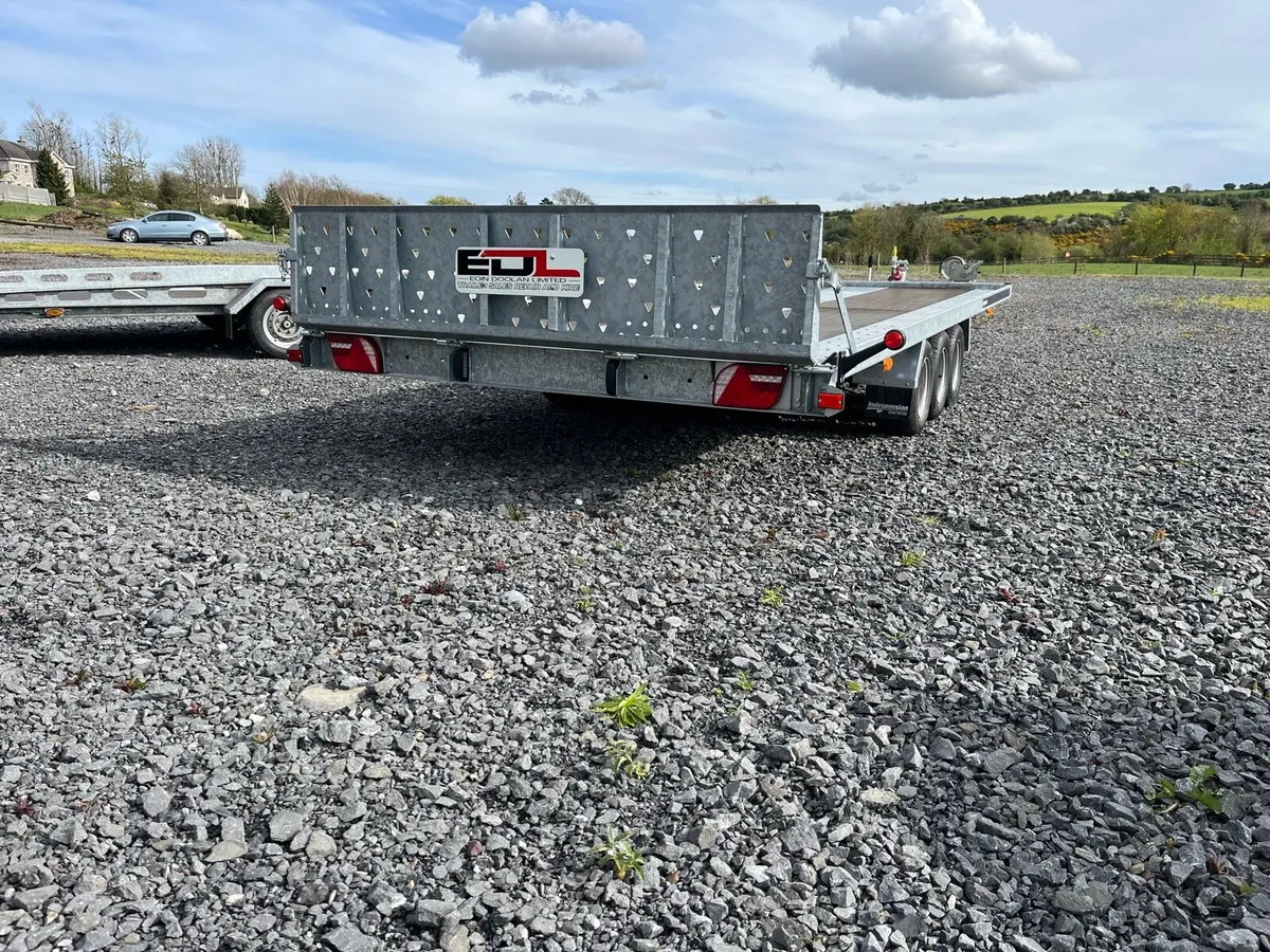 Car transporters for hire - Image 4