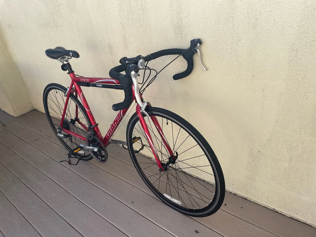 Racer for sale - Image 3