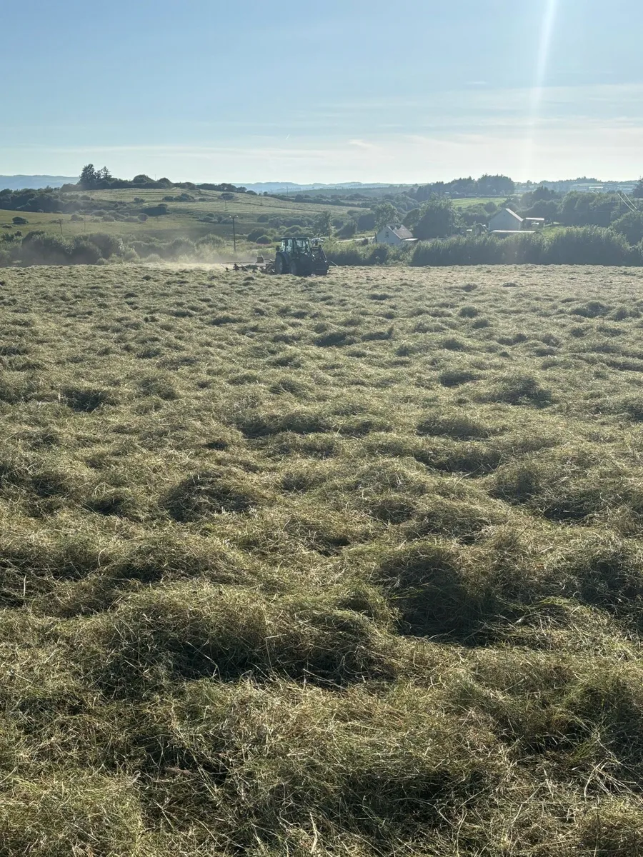 Hay - Image 1