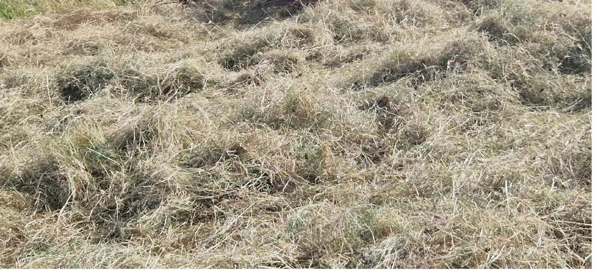 Hay     North Kilkenny Area. - Image 2