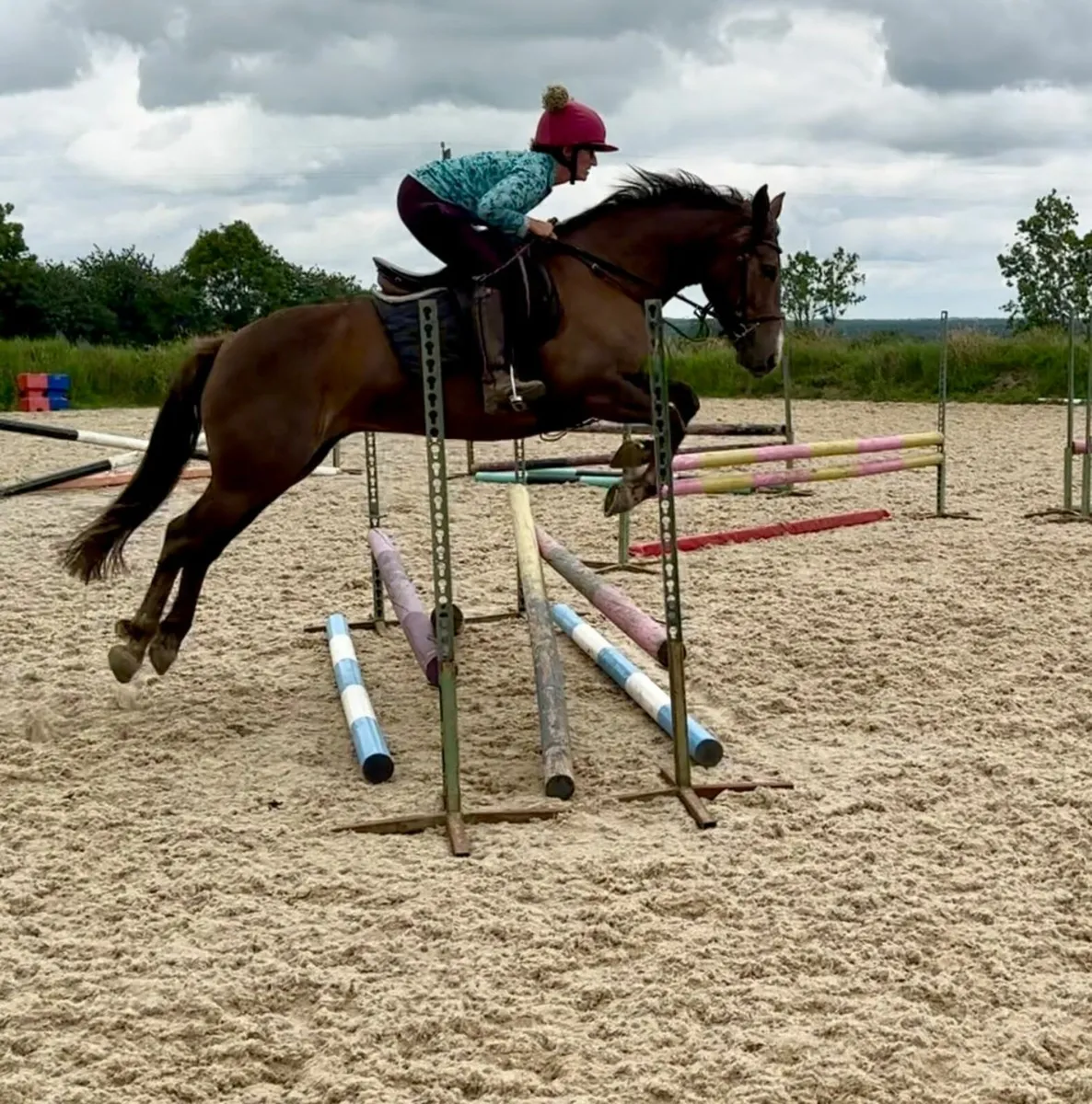 Horse - Image 2