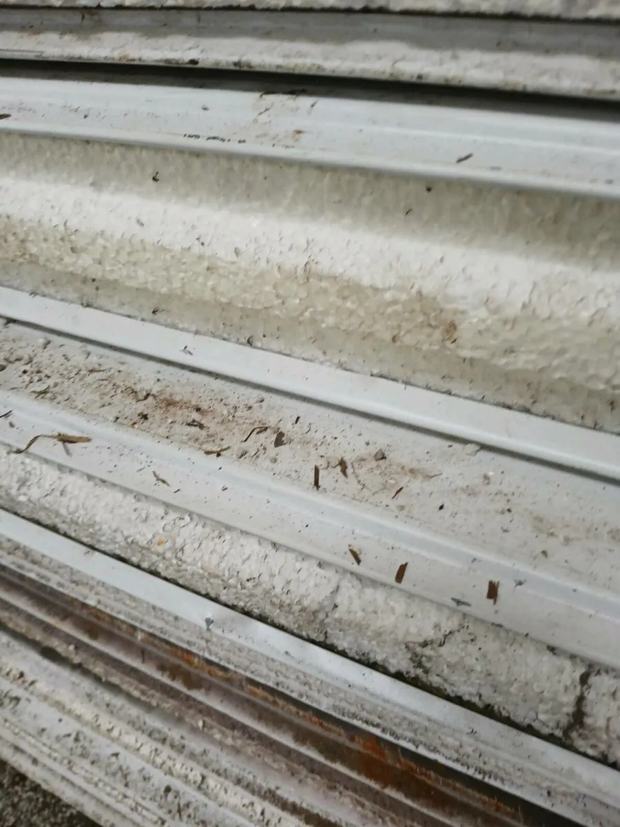 Cold room insulated panel - Image 1