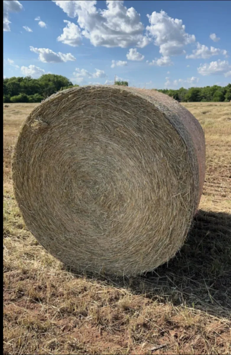 Round Hay Bales