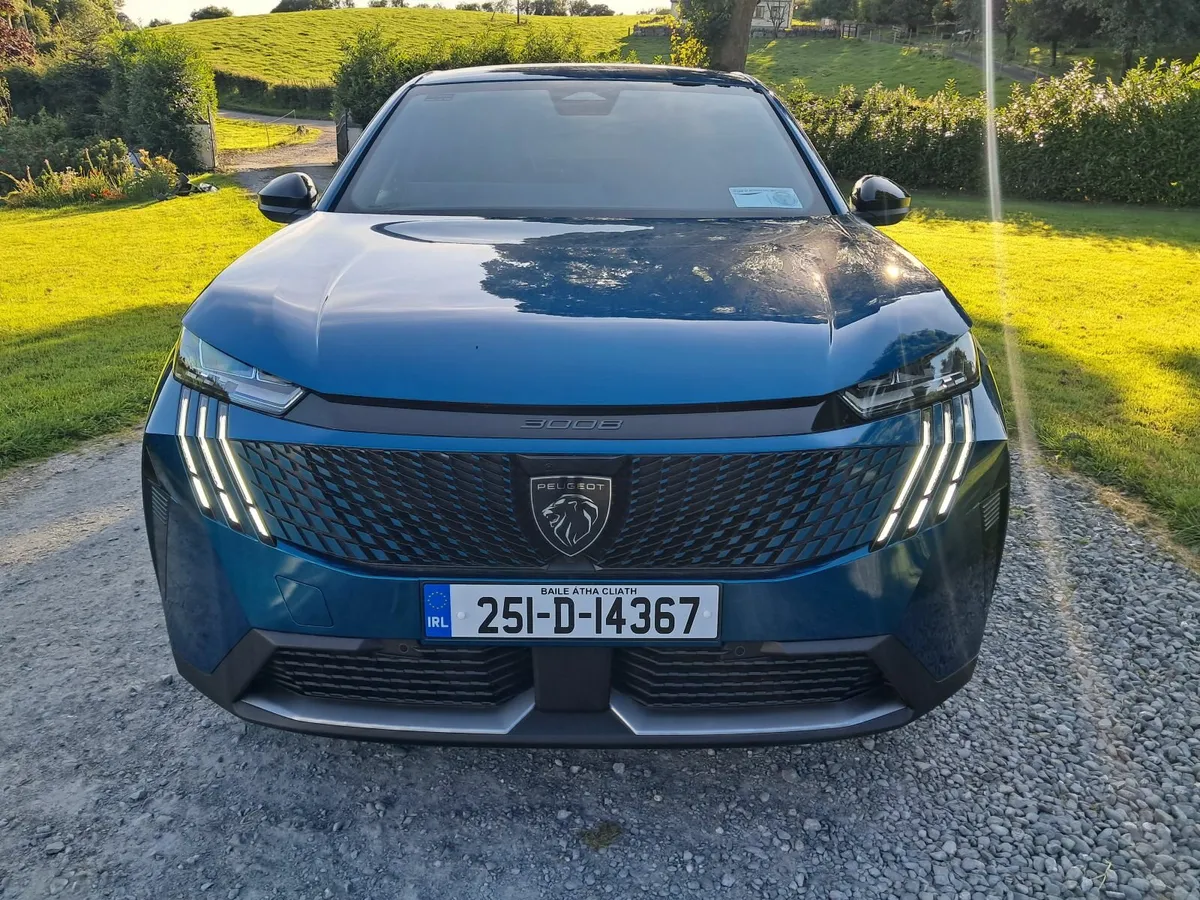 251 PEUGEOT 3008 LIGHT DAMAGE - Image 2