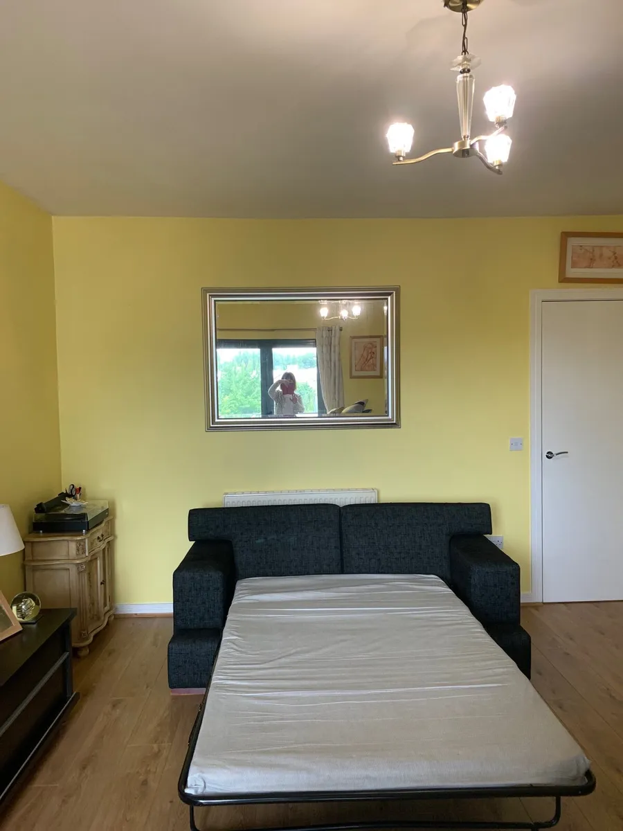 1 Sofa bed & 1 Sofa - Image 3