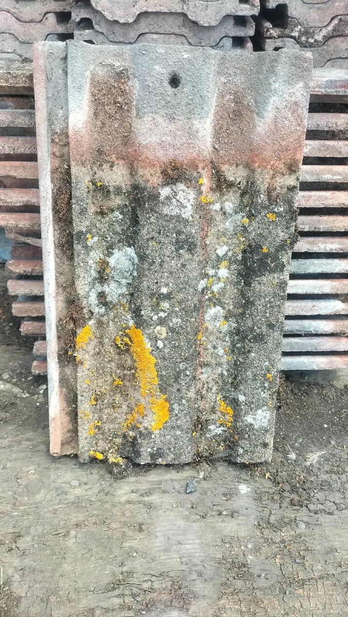 Roof Tiles - Image 1