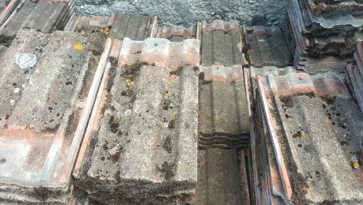 Roof Tiles - Image 3