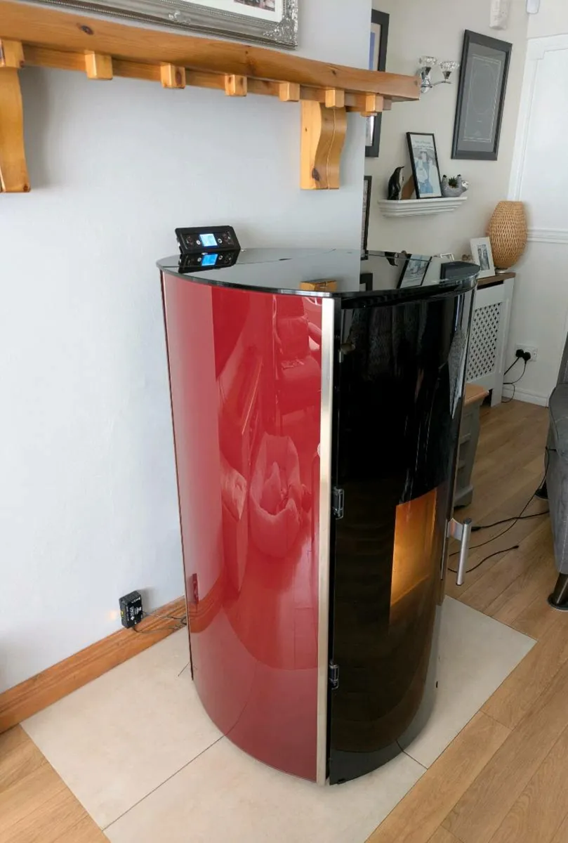 Wood Pellet Boiler Stove and Mantle - Image 2