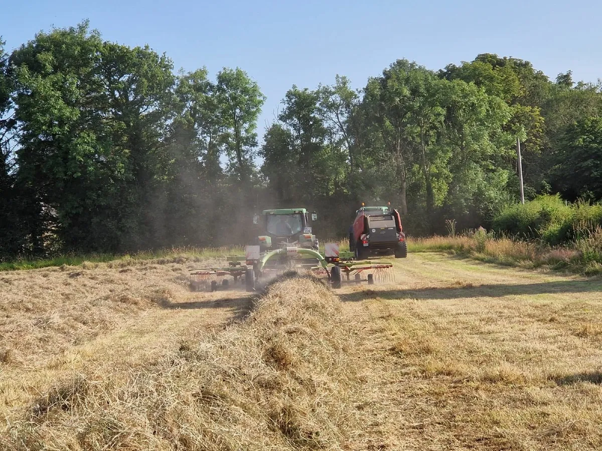 Hay     North Kilkenny Area. - Image 3