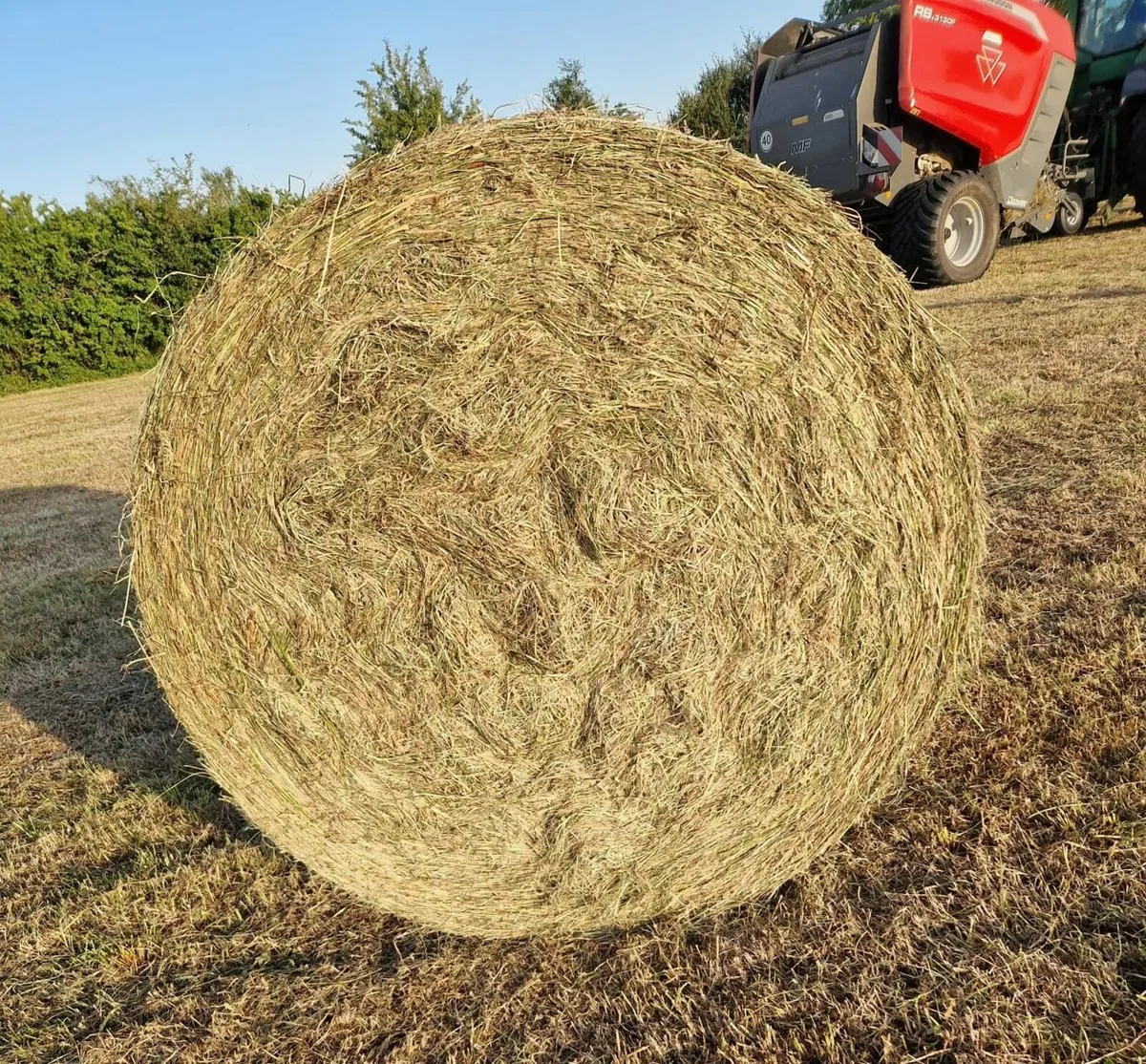 Hay     North Kilkenny Area. - Image 4