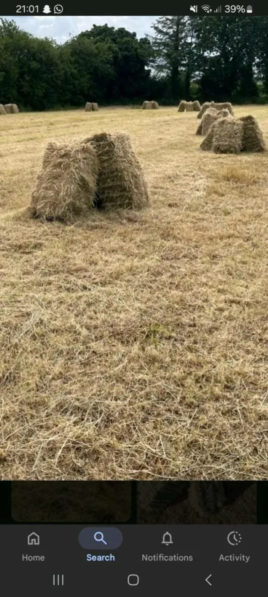Square bales