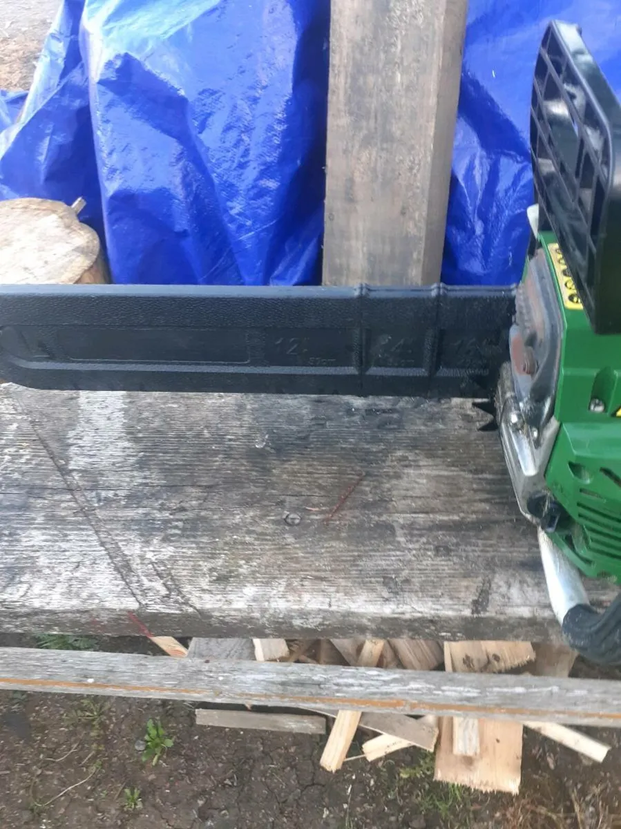 Chainsaw - Image 4