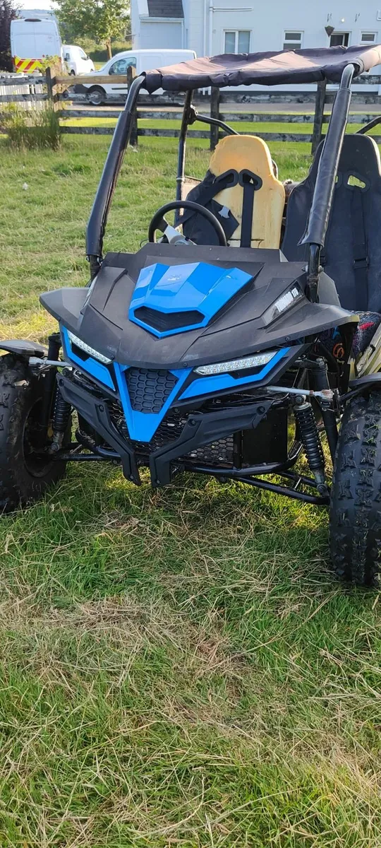 Quadzilla off-road buggy - Image 1