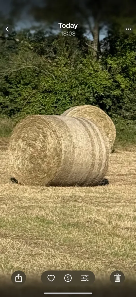 Hay bales - Image 1