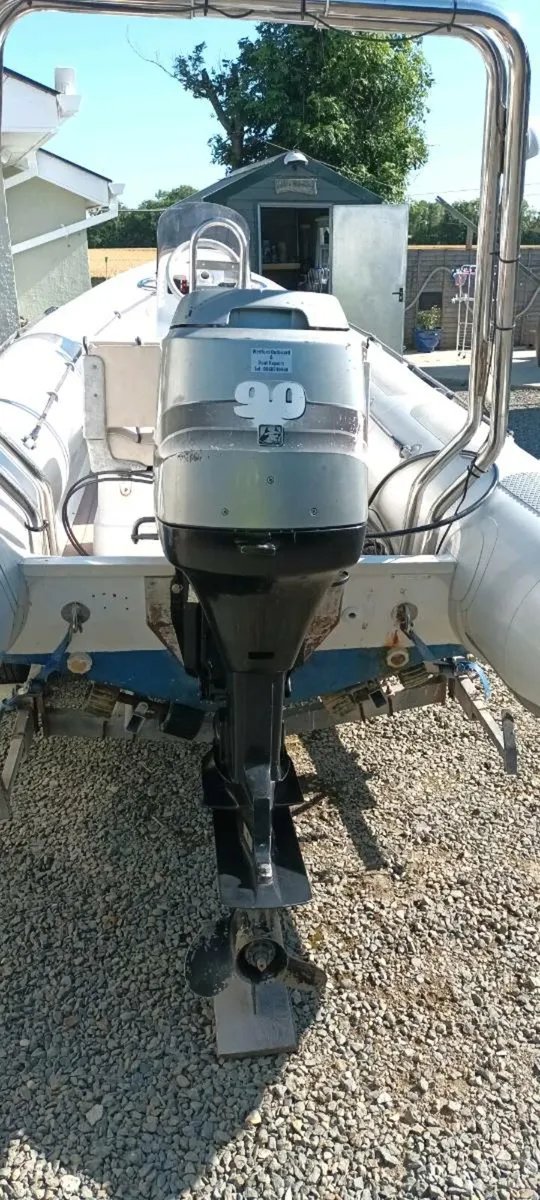 Rib - Image 3