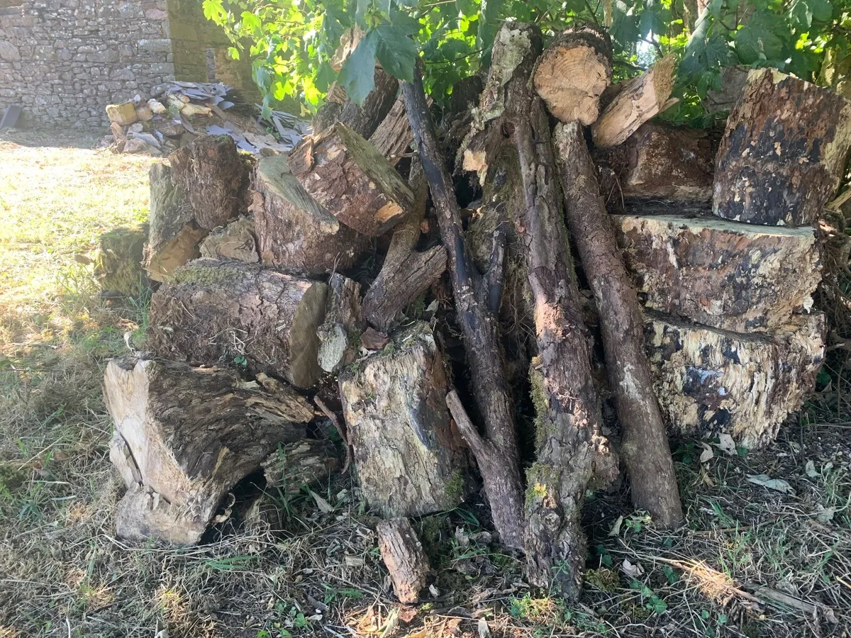 Logs - Image 2
