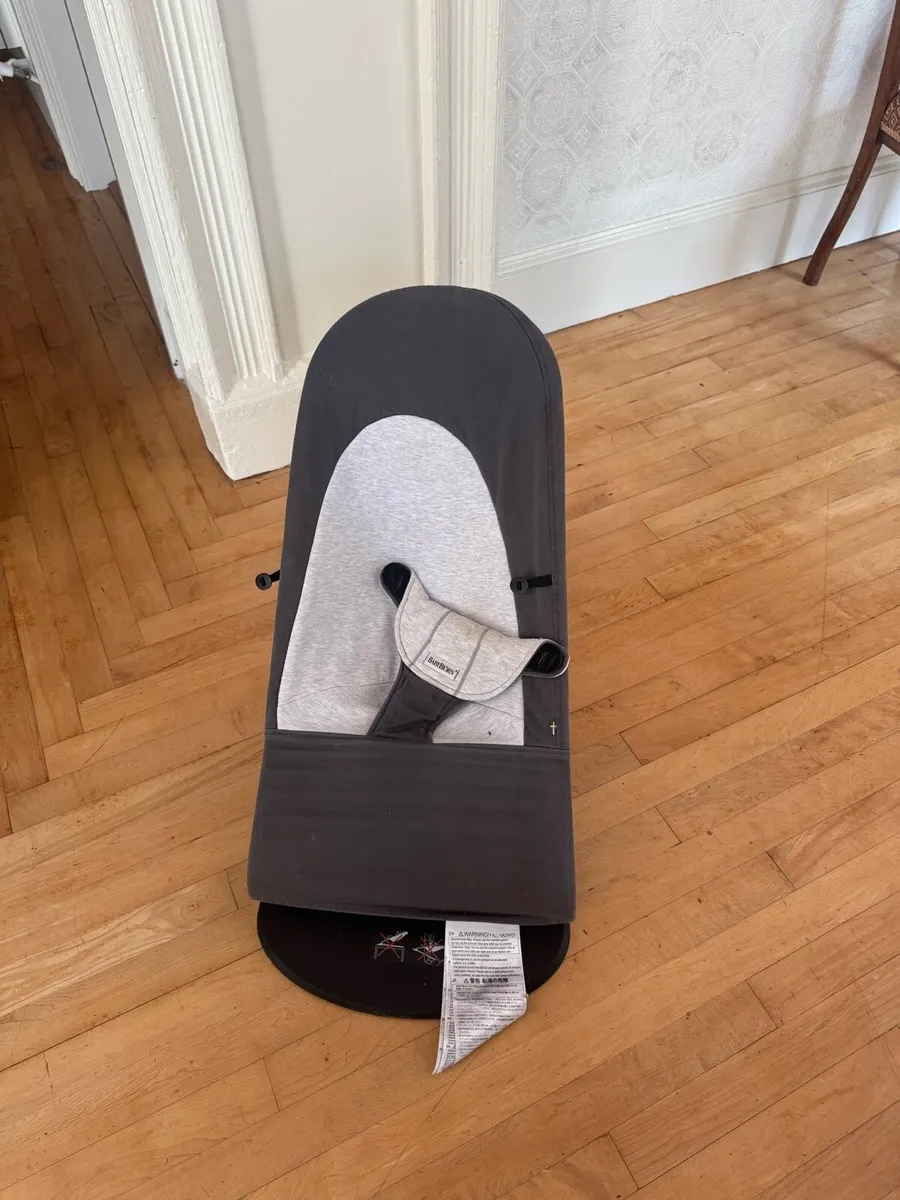 Baby Bjorn Bouncer