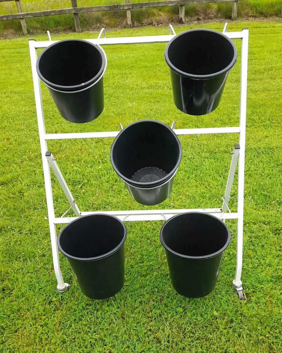 Flower Display Unit - Image 1