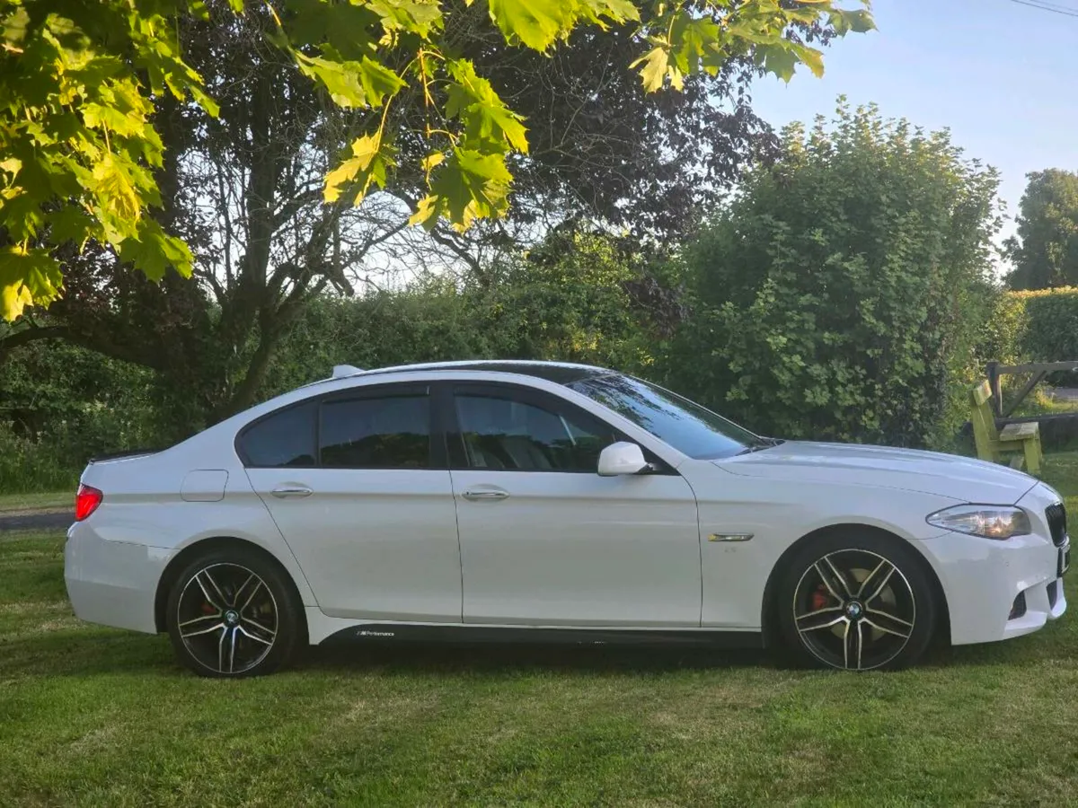 BMW Msport 520 Diesel 
NCT 05/26 Tax 07/25 - Image 2