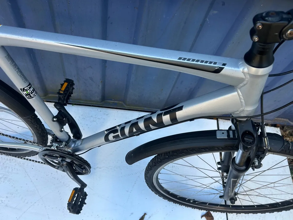 Giant  Roam XL Frame ❗️Open 7 days❗️ - Image 2