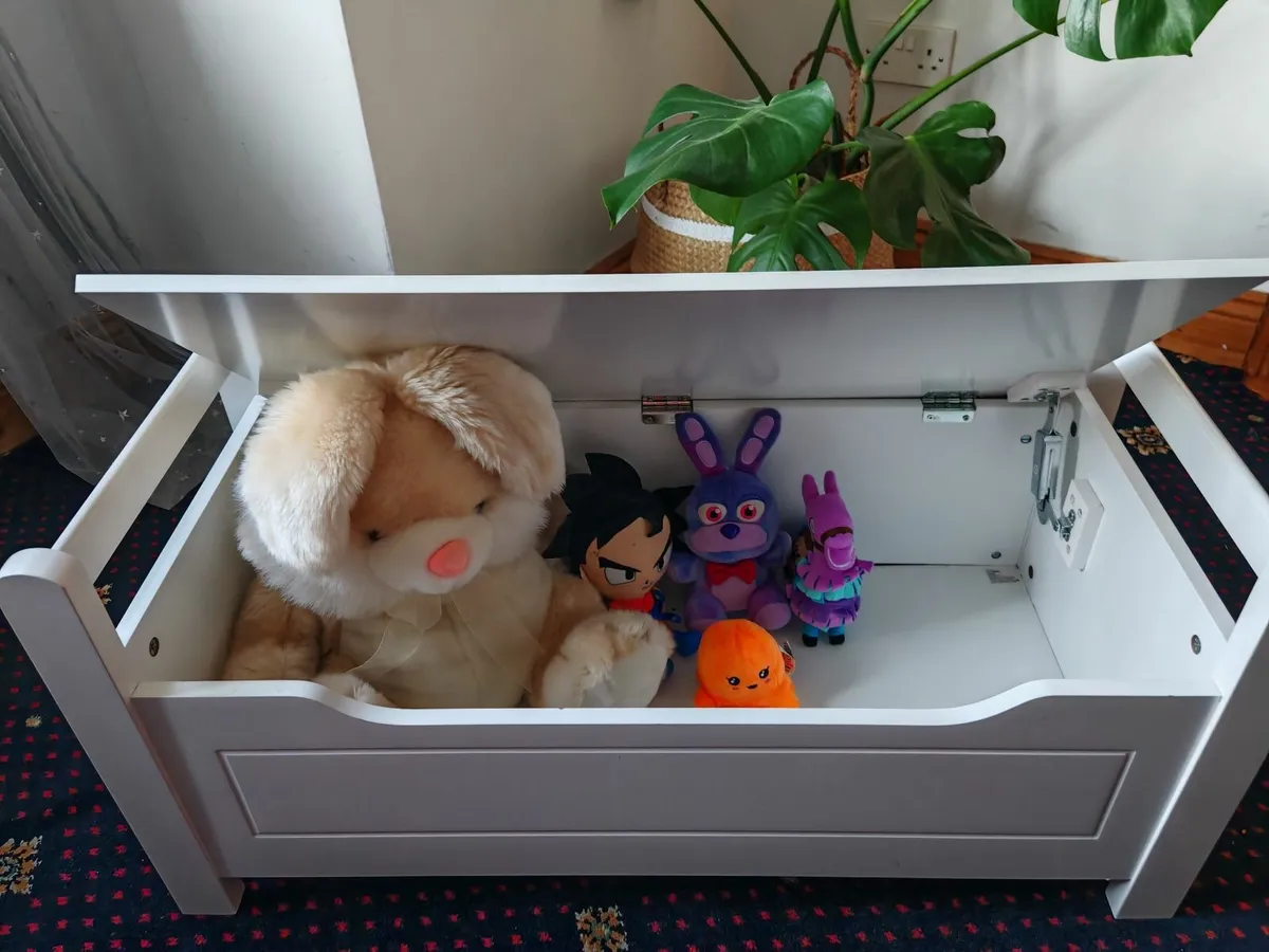 Toy Chest - Image 1