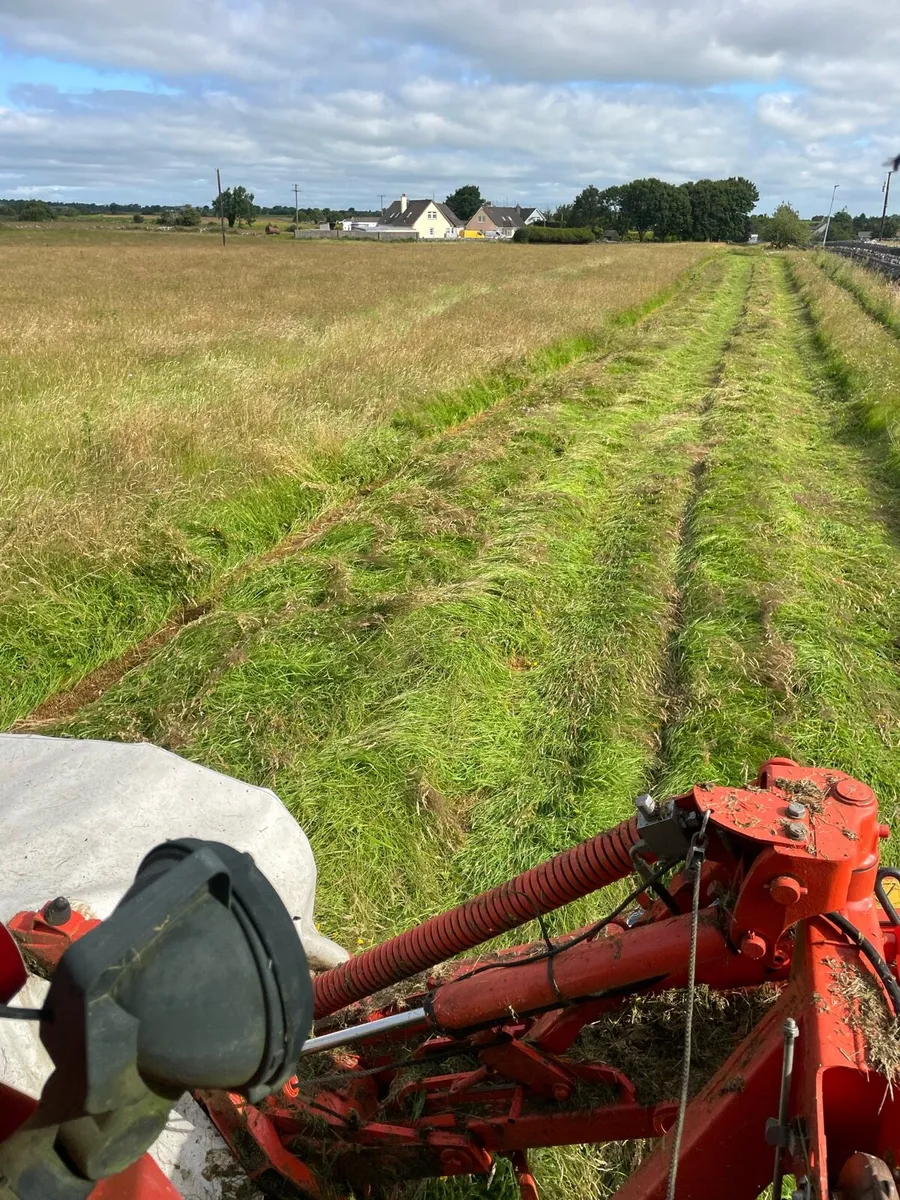 Hay(small squares ) - Image 4