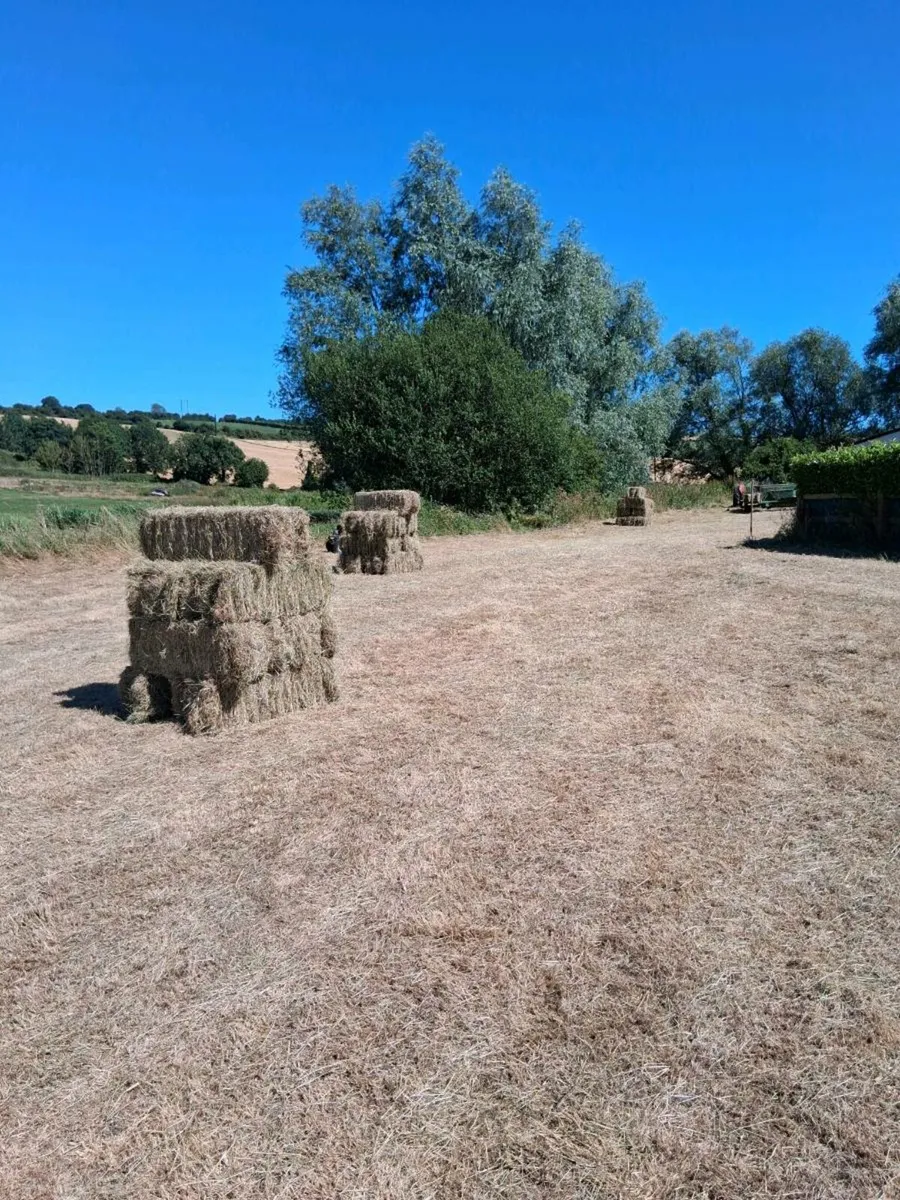 Square bale of hay - Image 1
