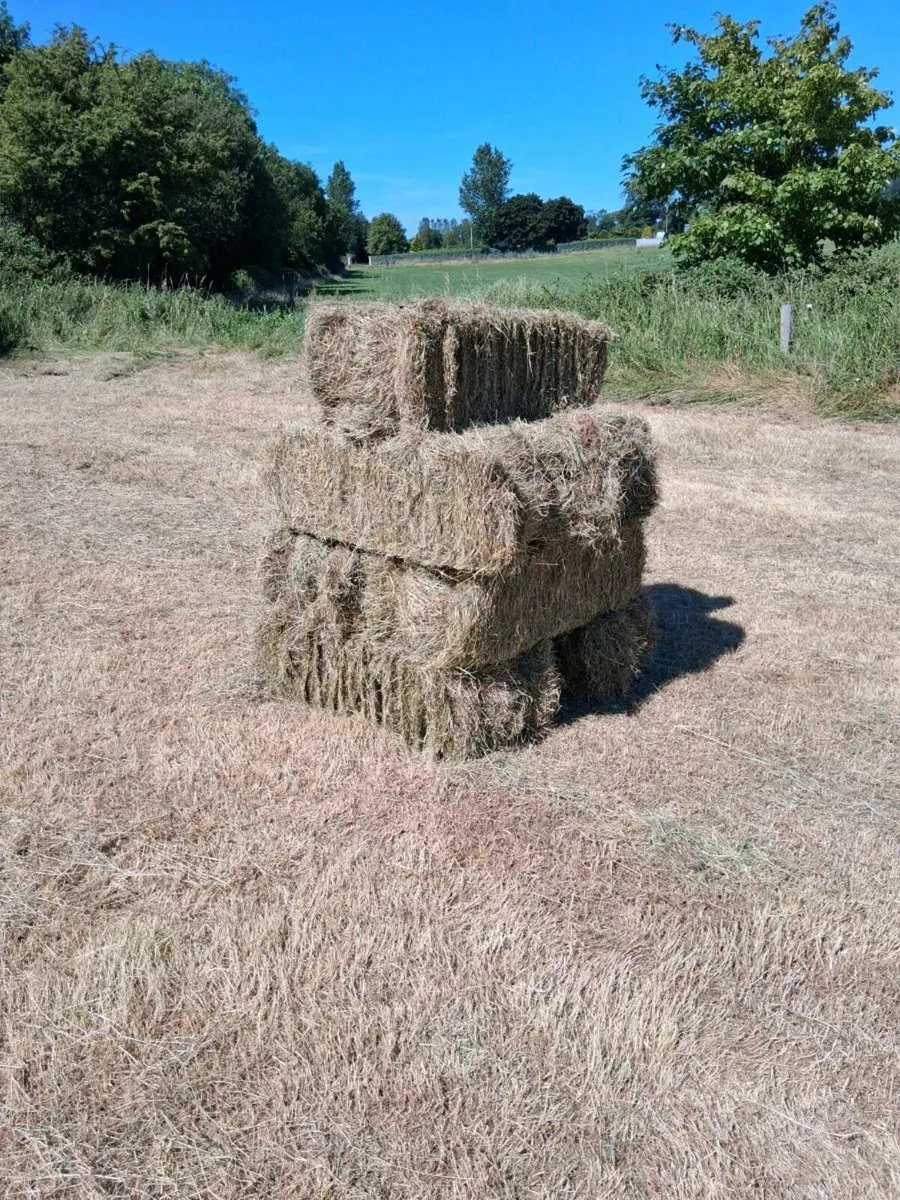 Square bale of hay - Image 2
