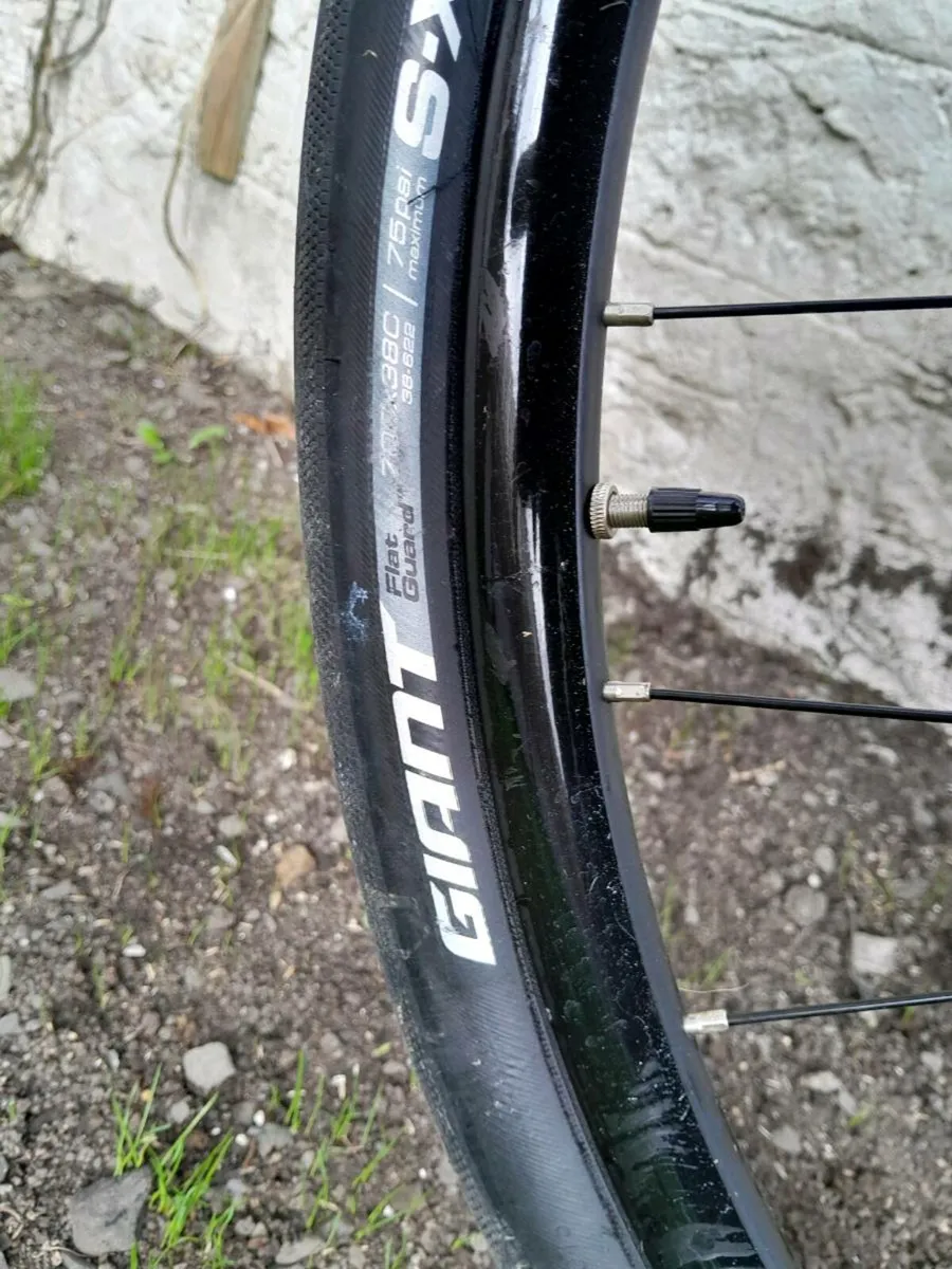 Bicycle - Image 2