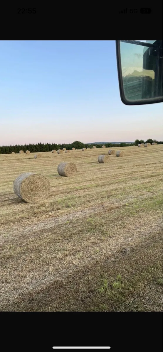 Hay - Image 1